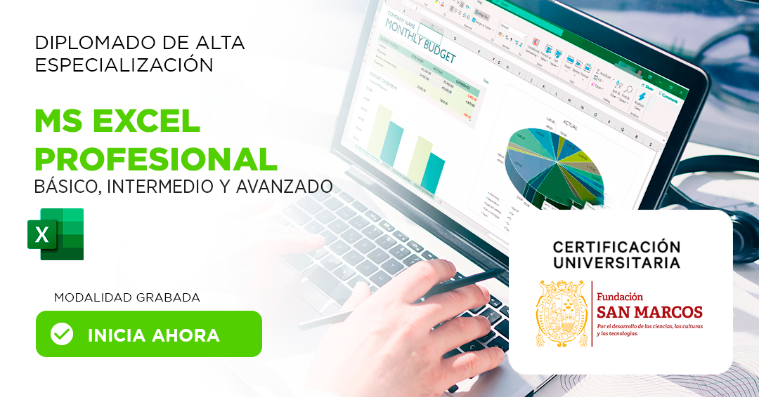 MS Excel Profesional: Básico, Intermedio y Avanzado